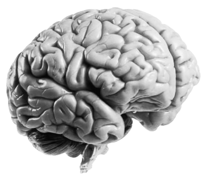 project classroom presentation tool Brain